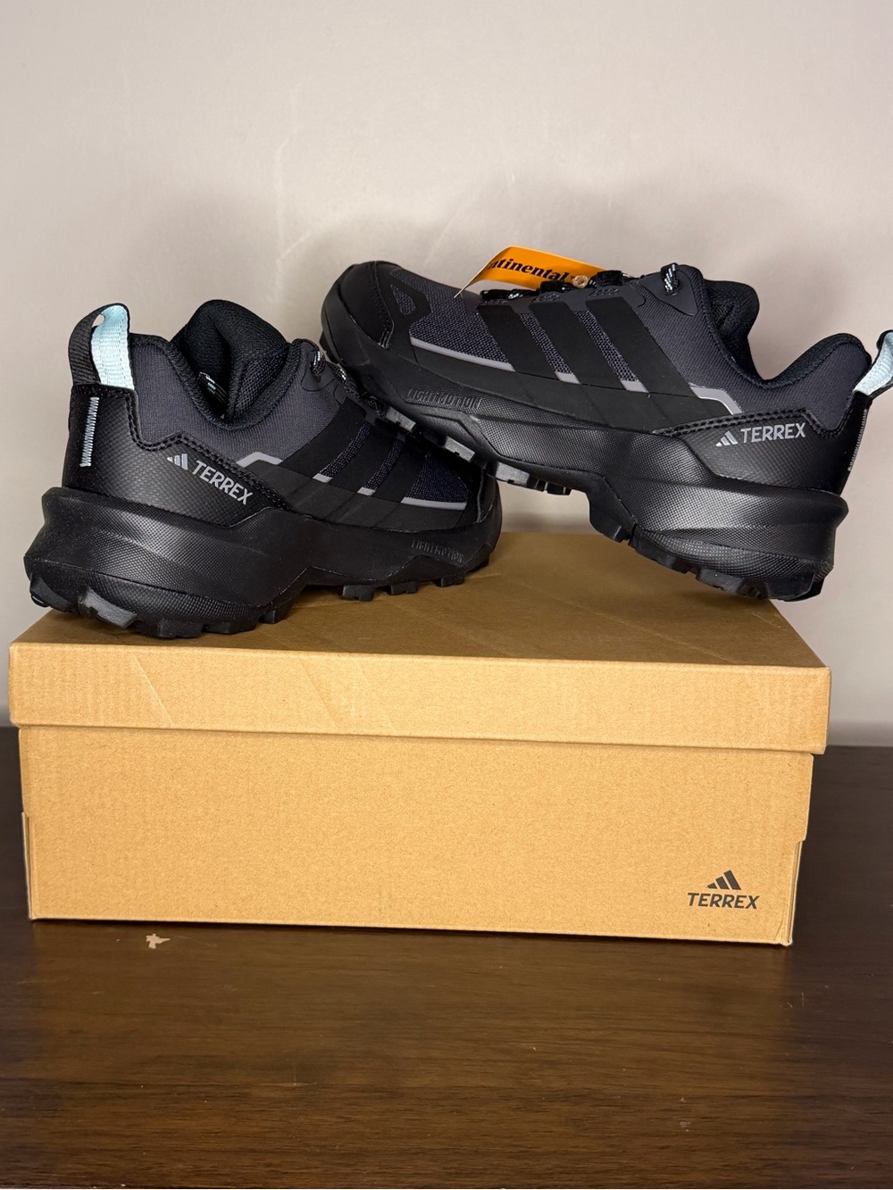 adidas TERREX skychaser AX5